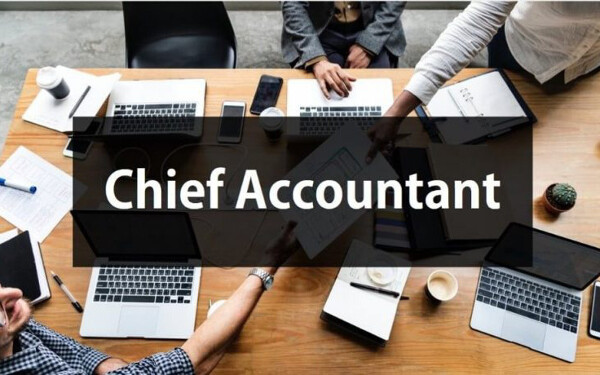 Chief Accountant (Kế toán trưởng) thumbnail